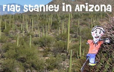 Flat Stanley in Arizona