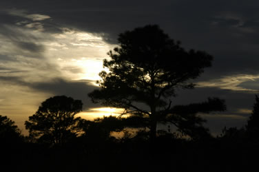 Sunset at Assateague Island