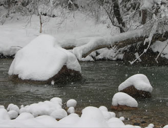 Snow Day