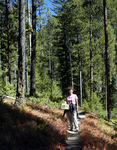 Annette on trail to Otter Lake, MT