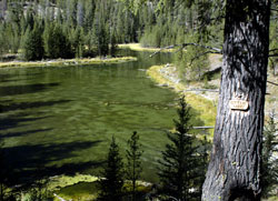 Otter Lake, MT