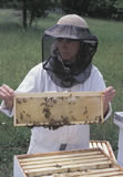 beehive