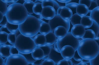 bubbles