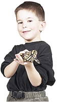 boy with snake
