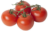 tomatoes