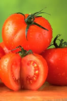tomatoes