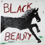 black beauty
