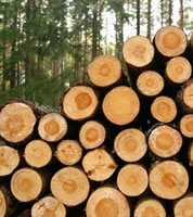lumber