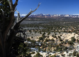 Zion view