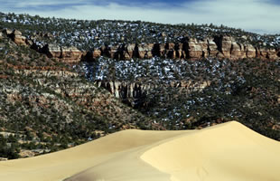 Coral Pink Sand Dunes