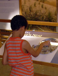 Boy at exhibit