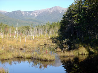 Katahdin view