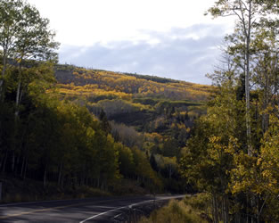 Boulder Highway