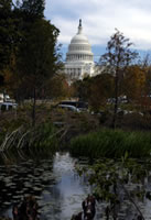 Pond near Capital