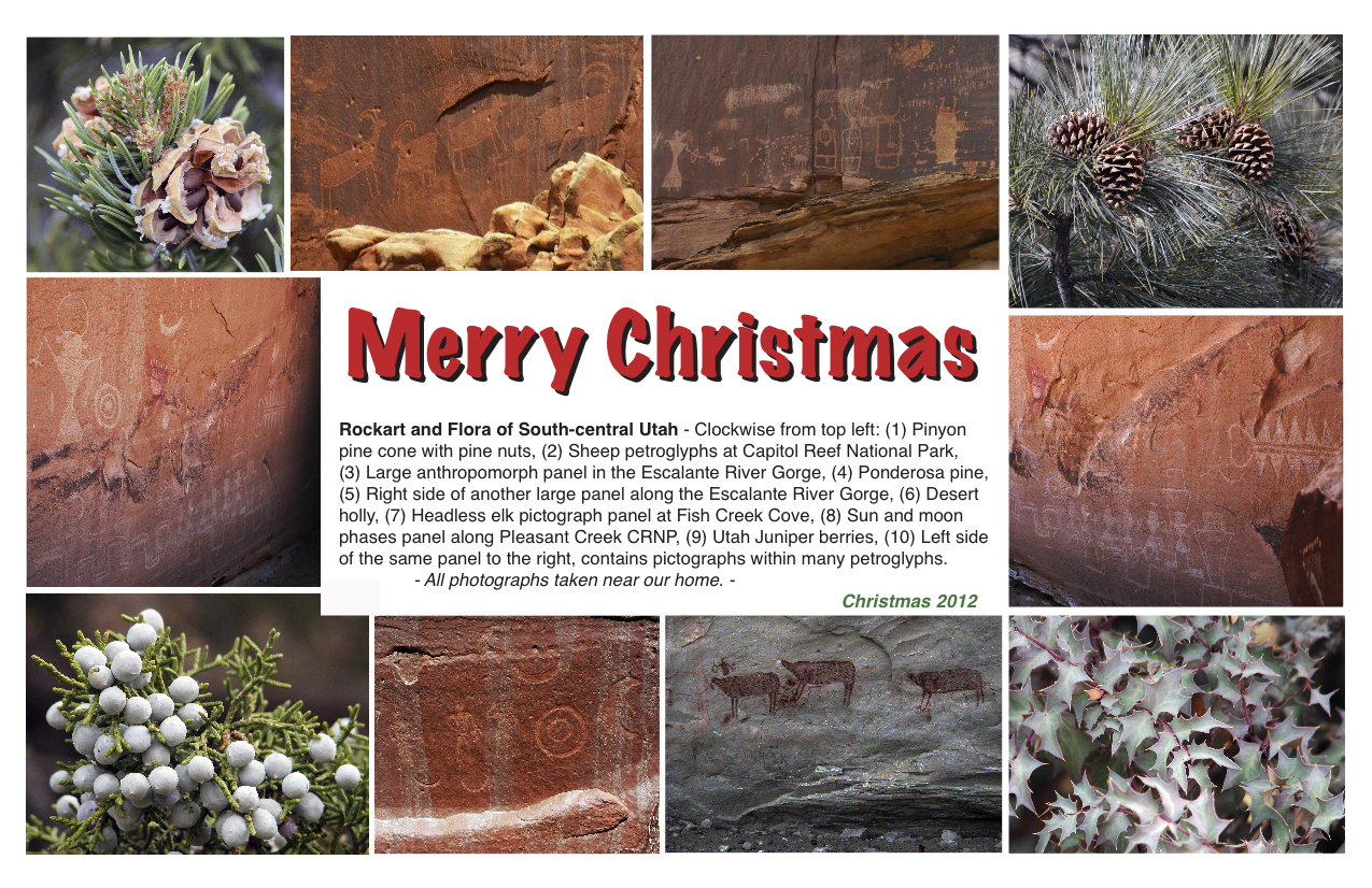 Christmas card 2012