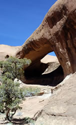 honeymoon arch