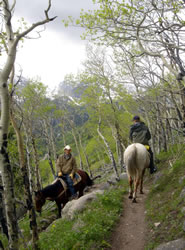 Horseback riding