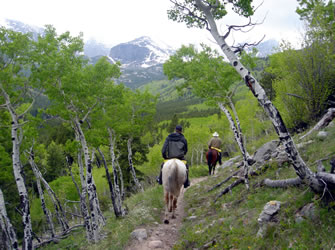 Horseback riding