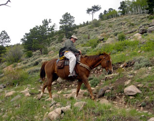 Horseback riding