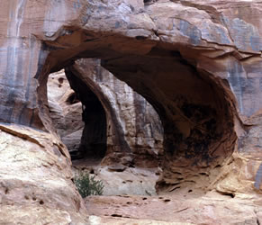 Double Arch