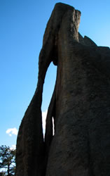 needle