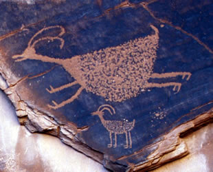 petroglyph