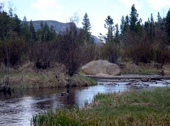 Rocky Mountains