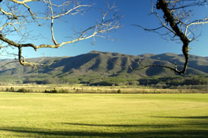 Cade's Cove view