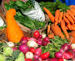 Farmer's Market