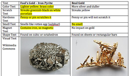 Fool's Gold