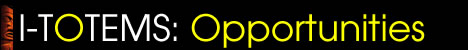 information title