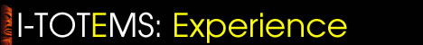 information title