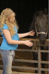 horse