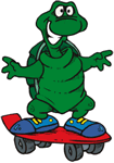 turtle on skateboard