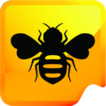bee 1