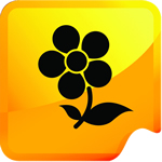 bee 1